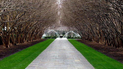 Dallas Arboretum Botanical garden venue